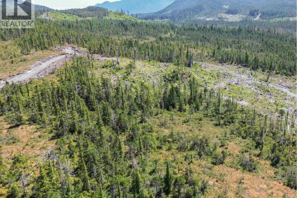 Dl 1669 Porcher Island, Prince Rupert, BC V0E1E0 Photo 4
