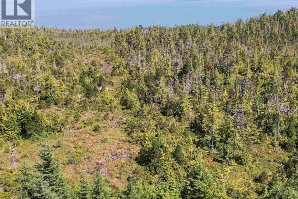 Dl 1699 Porcher Island, Prince Rupert, BC V0V1E0 Photo 4