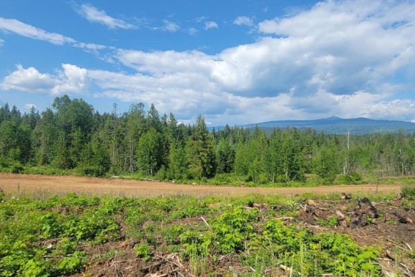 Dl 2620 Yellowhead Highway Unit# Lot 1, Clearwater, BC, photo 3