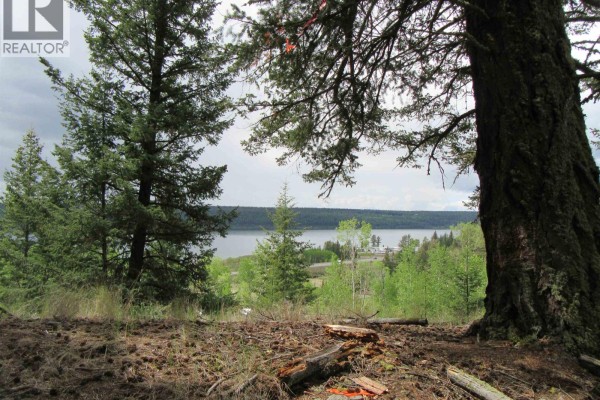 Dl 2808 Donovan Road, Lac La Hache, BC V0K1T0 Photo 4
