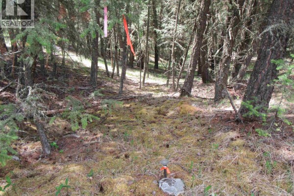 Dl 2808 Donovan Road, Lac La Hache, BC V0K1T0 Photo 5