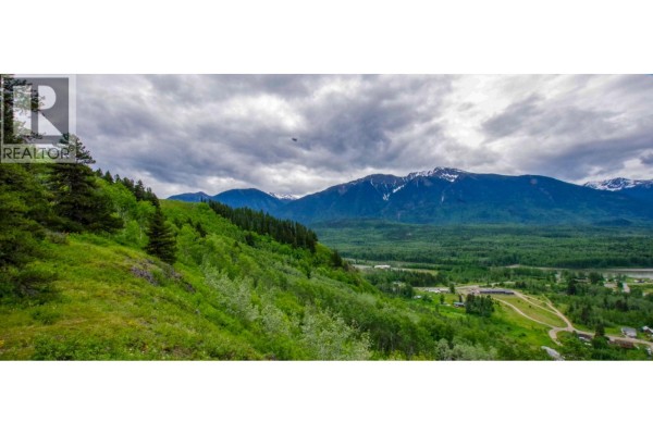 Dl 2953 Pond Road, Kitwanga, BC, photo 2