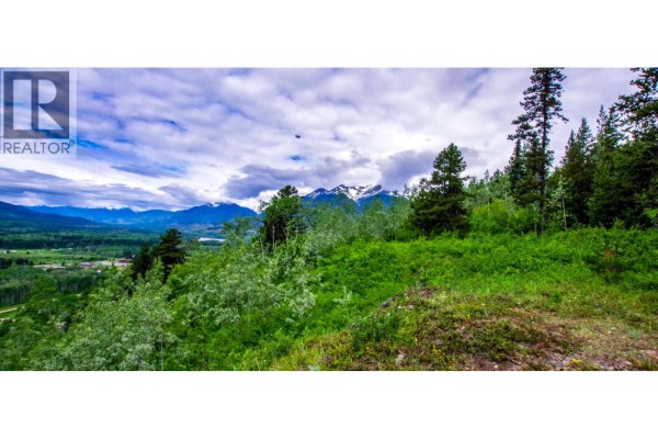 Dl 2953 Pond Road, Kitwanga, BC V0J2A0 Photo 4
