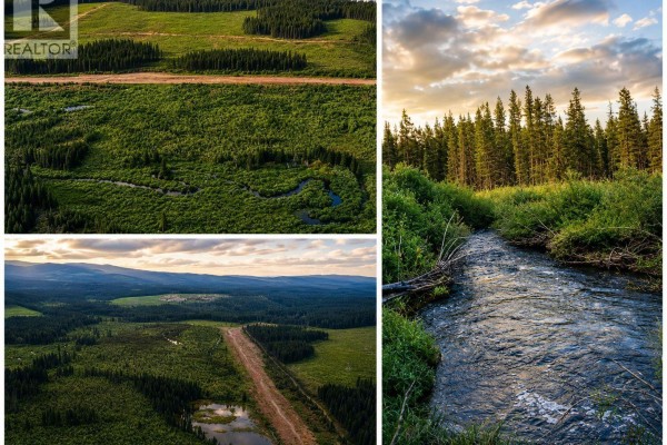 Dl 3456 Forestry Road, Quesnel, BC V2J3J9 Photo 3