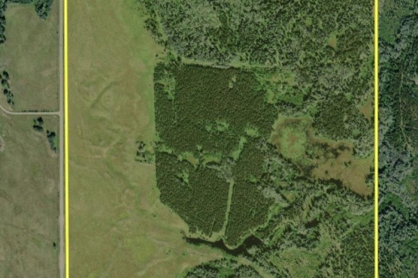 Dl 4260 E Palling Road, Burns Lake, BC V0J1E1 Photo 4