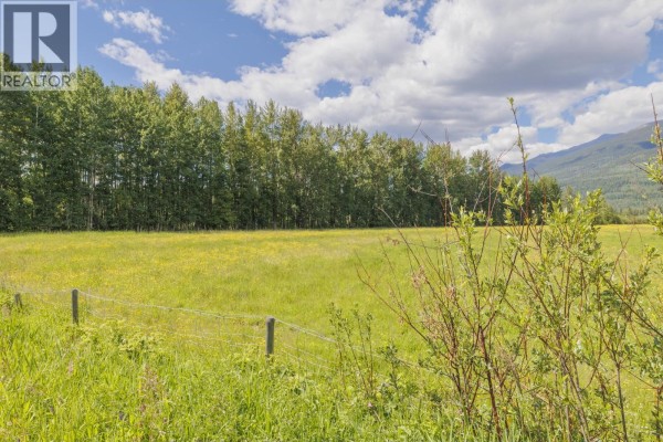 Dl 5314 Horseshoe Lake Road, Mcbride, BC V0J2E0 Photo 2