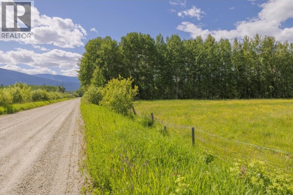 Dl 5314 Horseshoe Lake Road, Mcbride, BC V0J2E0 Photo 3