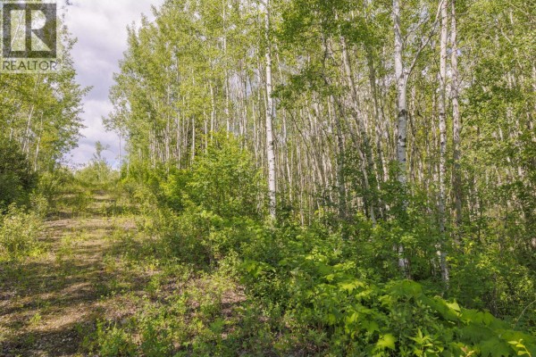 Dl 5314 Horseshoe Lake Road, Mcbride, BC V0J2E0 Photo 4