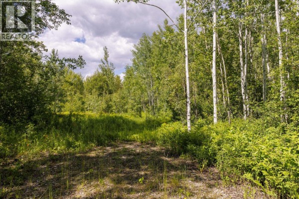 Dl 5314 Horseshoe Lake Road, Mcbride, BC V0J2E0 Photo 5