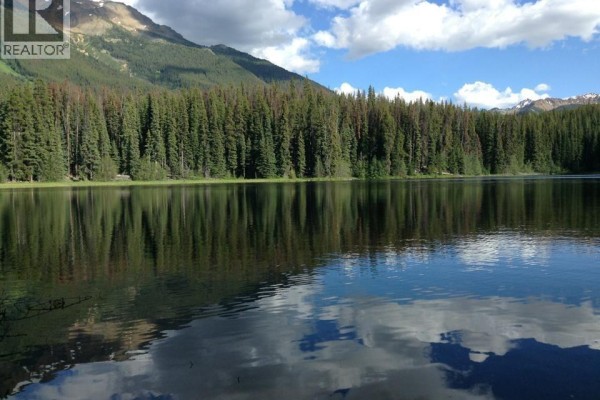 Dl 5374 Mead Lake, Bralorne, BC V0K1P0 Photo 2