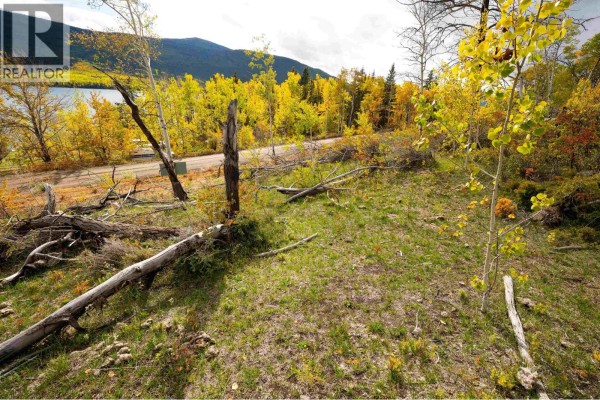 Dl 599 Nemaiah Valley Road, Williams Lake, BC V0L1X0 Photo 4