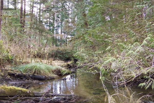 Dl 704 Bessborough Bay, Kelsey Bay, BC V0P0A5 Photo 5