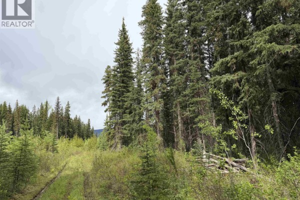 Dl 706 Walcott Road, Telkwa, BC V0J2X2 Photo 4