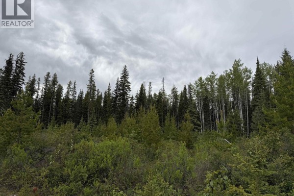 Dl 706 Walcott Road, Telkwa, BC V0J2X2 Photo 5