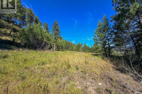 Dl 862 3 Highway, Rock Creek, BC V0H1Y0 Photo 4