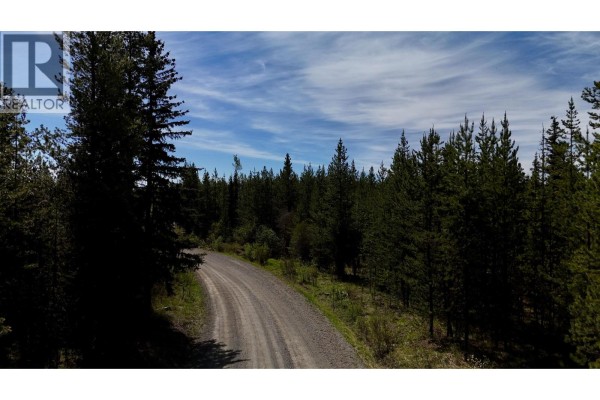 A winding gravel road cuts through a forest of tall green pine trees under a blue sky. - Dl 11479 Spout Lake Road, Lac La Hache