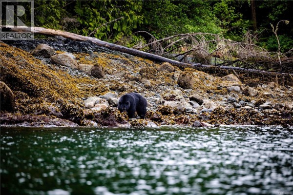 Dl1833 Cracroft Island, West Cracroft Island, BC V0N3J0 Photo 2