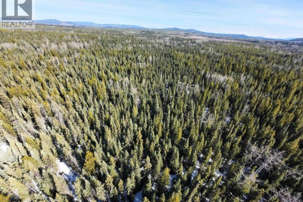Dl 2743 Beaver Forest Service Road, Prince George, BC V2K5C9 Photo 2
