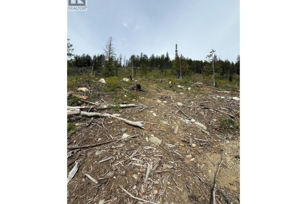 Dl640 Granite Mountain Road, Rossland, BC V0G1Y0 Photo 5