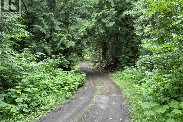 Dl 830 Cedarvale Kitwanga Back Road, Kitwanga, BC, photo 3