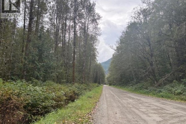 Dl990 Nw Magee Road, Squamish, BC V0N3G0 Photo 4
