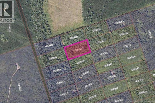 Don's Lot Green Road, Elgin, NB E4Z1T6 Photo 4