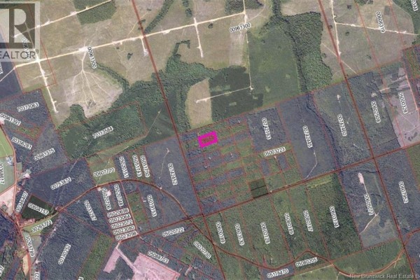 Don's Lot Green Road, Elgin, NB E4Z1T6 Photo 5