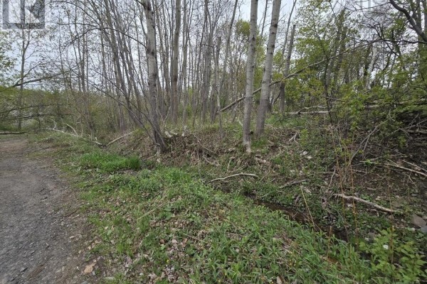 Double Lot 2 Brook Street, Trenton, NS, photo 3