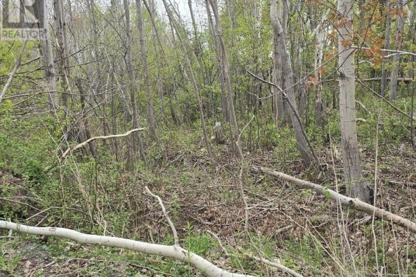 Double Lot 2 Brook Street, Trenton, NS B0K1X0 Photo 5