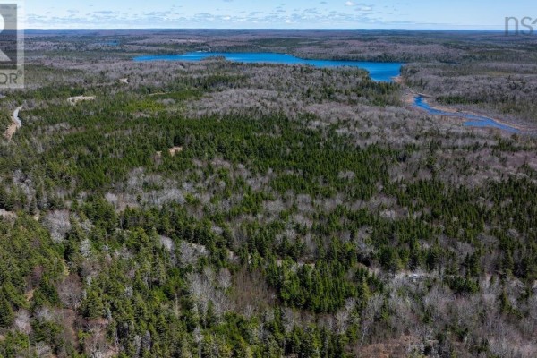 Aerial view of wooded land along Dufferin Mines Road - Dufferin Mines Road, Port Dufferin