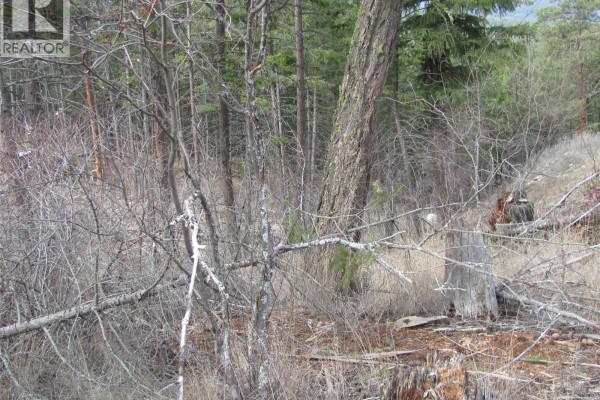 Dunwaters Road Lot# 84, Fintry, BC V1T3W4 Photo 4