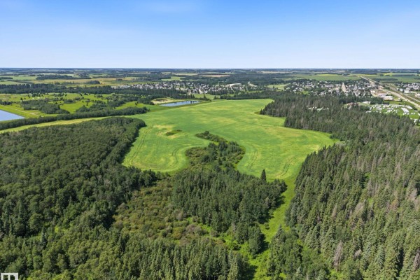 Wide aerial shot showcasing rolling green fields interspersed with dense evergreen forests and a distant residential area. - E-29-47-24-4 County Of Wetaskiwin, Rural Wetaskiwin County