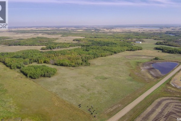 Edam Quarter, Turtle River Rm No  469, SK, photo 2