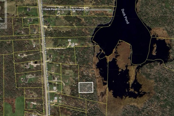 Aerial view of Edson Foote Road and Duck Pond, highlighting land layout and surrounding areas. - Edson Foote Road, North Chegoggin