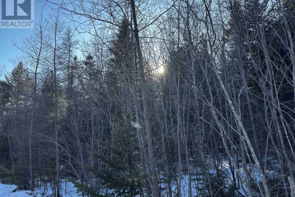 Emerald Drive, Emerald Estates, Whycocomagh Portage, NS B0E3M0 Photo 4