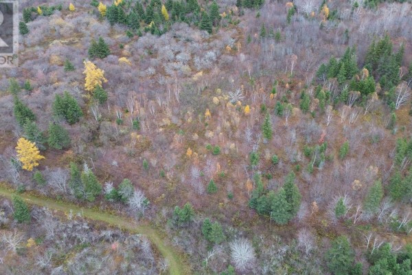 Es/sw Margaree Road, Southwest Margaree, NS B0E2A0 Photo 2