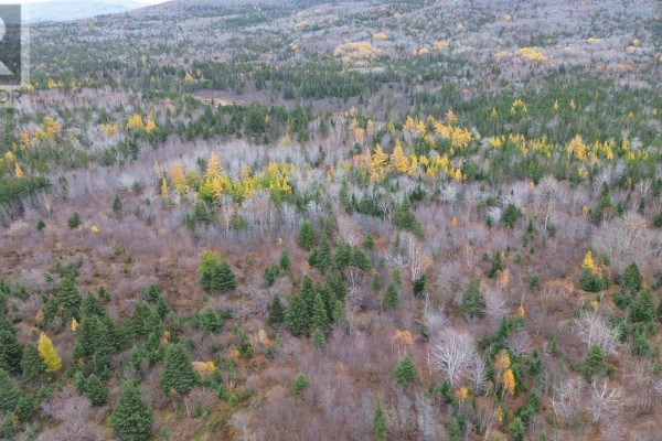 Es/sw Margaree Road, Southwest Margaree, NS B0E2A0 Photo 5