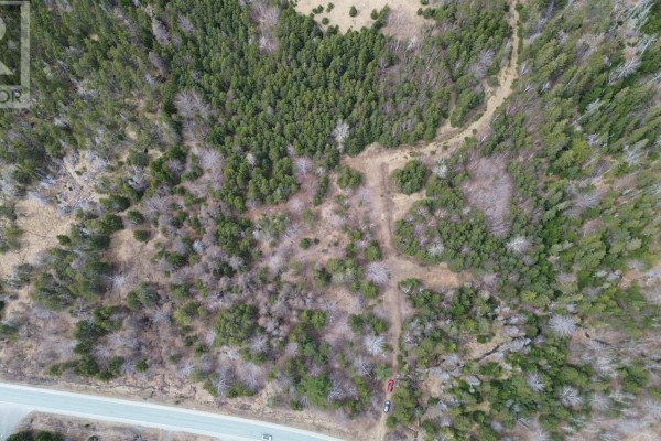 Overhead drone shot showing a rural road adjacent to a forested lot with a dirt track. - Eskasoni Road, Northside East Bay