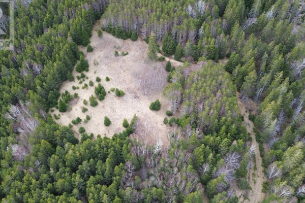 Drone view of a natural clearing surrounded by dense evergreen and deciduous trees. - Eskasoni Road, Northside East Bay