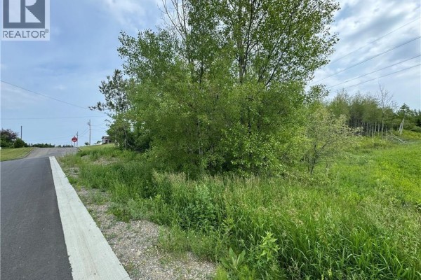 Evangeline Street, Grand Sault/grand Falls, NB, photo 2