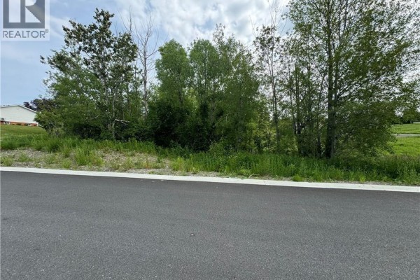 Evangeline Street, Grand Sault/grand Falls, NB E3Y1B9 Photo 4
