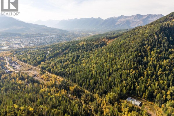 Aerial view showing a forested mountainside with Fernie townsite below and distant mountain range. - Fairy Creek Road, Fernie