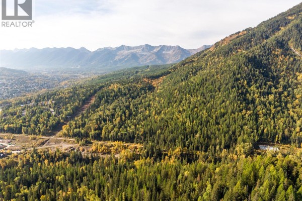 Aerial view of cleared land with dirt roads and mixed forest, showing slopes and trees. - Fairy Creek Road, Fernie