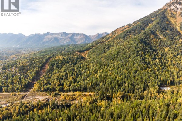 Expansive aerial view of a densely forested mountainside with a faint townsite in the distance. - Fairy Creek Road, Fernie