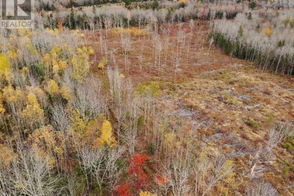 Feener Road, Farmington, NS B0R1A0 Photo 2