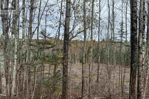 Feener Road, Farmington, NS B0R1A0 Photo 4