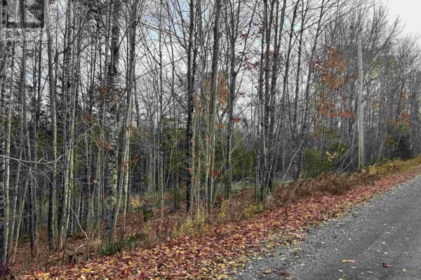 Feener Road, Farmington, NS B0R1A0 Photo 5