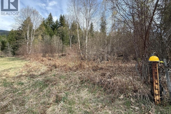 Fern Road Lot# 122, Appledale, BC V0G2J0 Photo 4