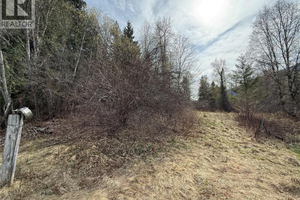 Fern Road Lot# 122, Appledale, BC V0G2J0 Photo 5