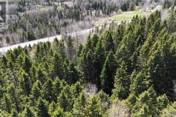 Francoeur Hill Road, New Denmark, NB E7G1R3 Photo 4